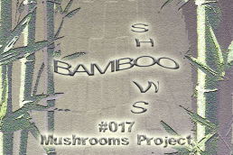 Bamboo Shows 017 - Mushrooms Project