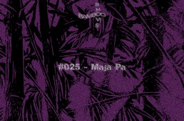 Bamboo Shows 025 - Maja Pa (bRAVE) - 20.03.19