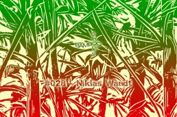 BS028 - Niklas Wandt (Themes For Great Cities) - 23.05.2019