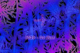 BS029 - DJ Eliot - 19.06.2019