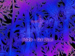 BS029 - DJ Eliot - 19.06.2019