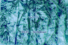 BS031 - Schemer (Positive Education) - 17.07.2019