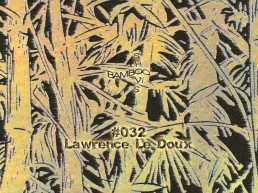 BS032 - Lawrence Le Doux (Vlek) - 01.08.19