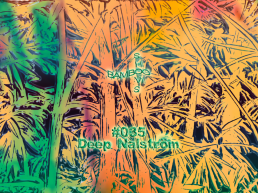 BS035 - Deep Nalström (Natural Selections) - 10.09.19