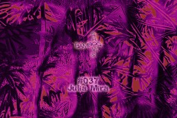 BS037 - Julia Mira (Red Light Radio) - 02.10.19