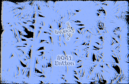 BS041 – Entten (Nits de la Tramuntana) – 29.01.20