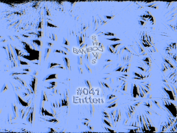 BS041 – Entten (Nits de la Tramuntana) – 29.01.20