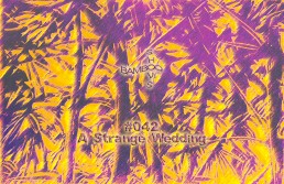 BS042 - A Strange Wedding (Worst Records) - 12.02.20