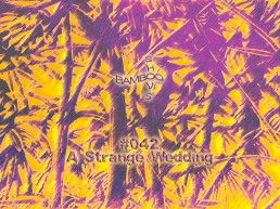 BS042 - A Strange Wedding (Worst Records) - 12.02.20