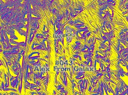 BS043 - Alex From Galax (Disobedient Bodies)