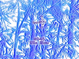 BS045 - Ella Blou (Transient Landscapes)