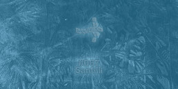 BS067 - Santilli